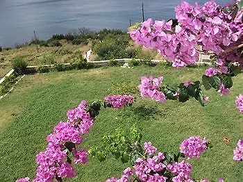 Arba Seaview Residences